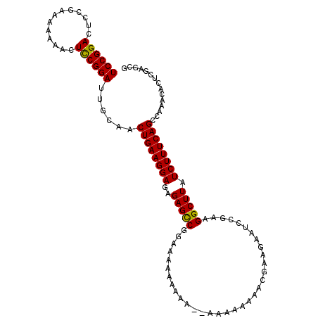secondary structure