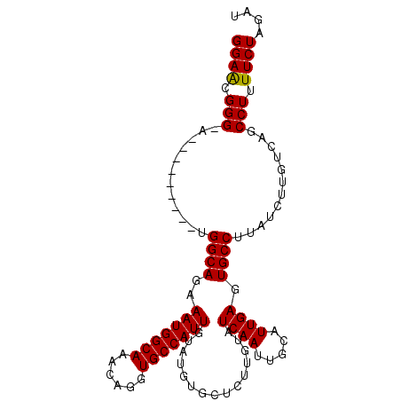 secondary structure