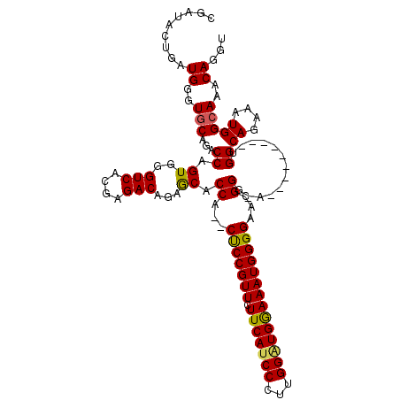 secondary structure