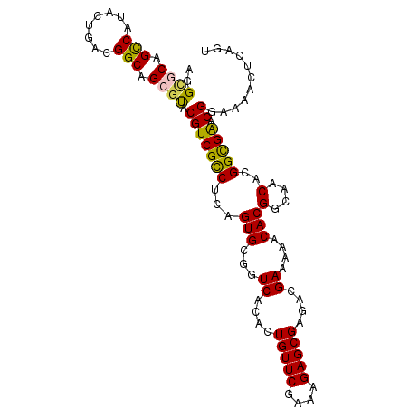 secondary structure