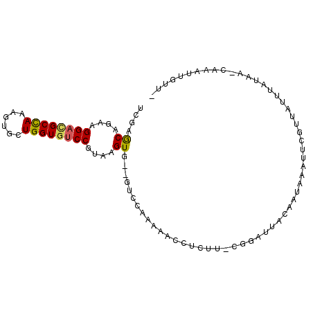 secondary structure