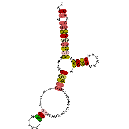 secondary structure