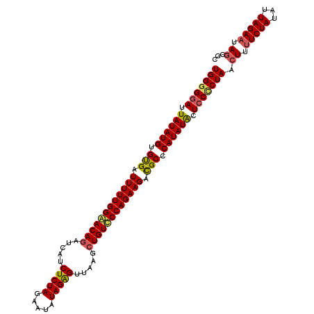 secondary structure