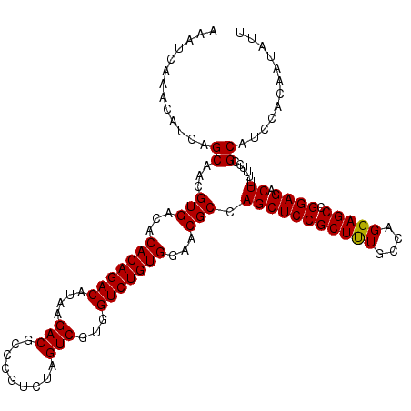 secondary structure