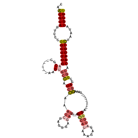 secondary structure