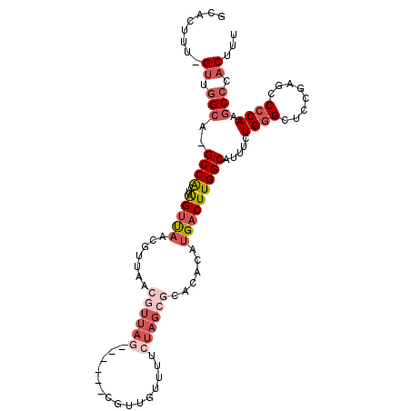 secondary structure