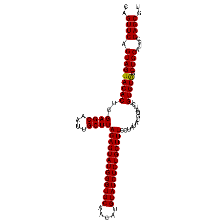 secondary structure