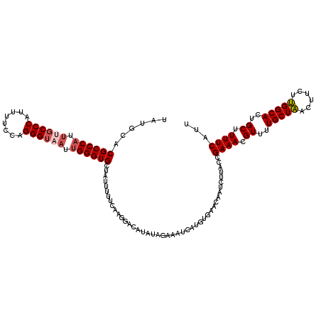 secondary structure