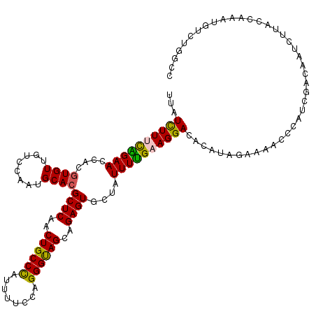 secondary structure