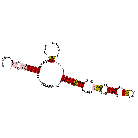 secondary structure