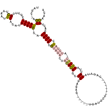 secondary structure