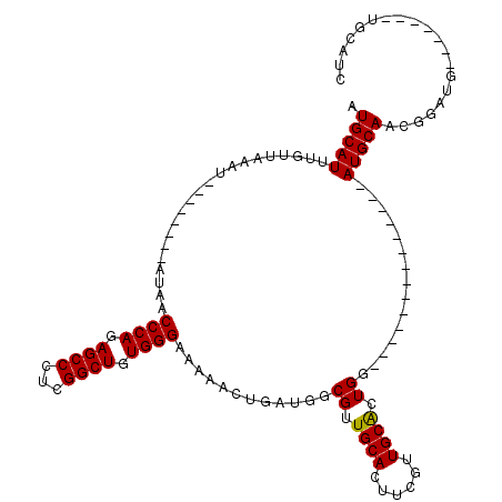 secondary structure