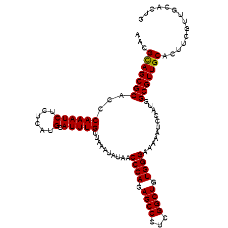 secondary structure