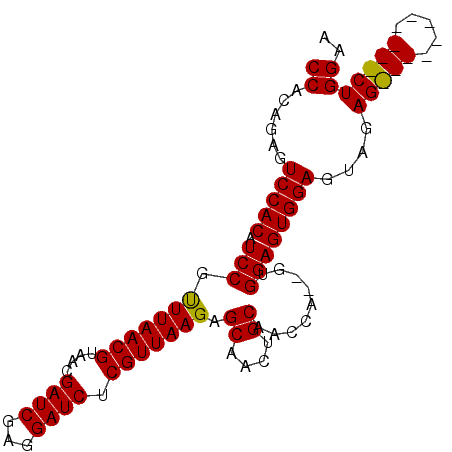 secondary structure