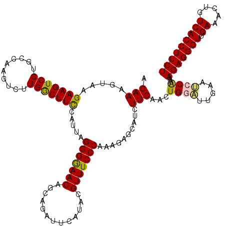 secondary structure