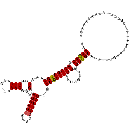 secondary structure