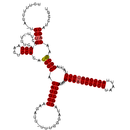 secondary structure