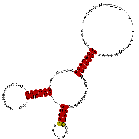 secondary structure