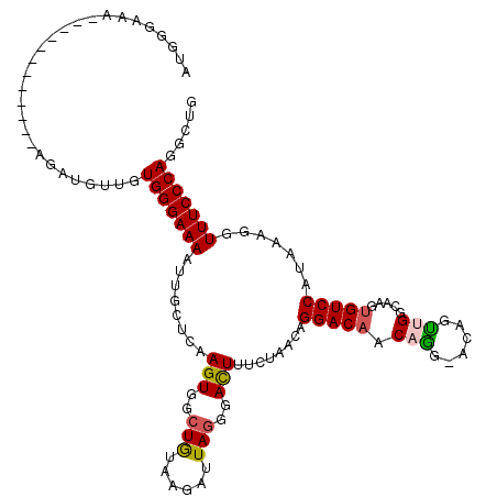 secondary structure