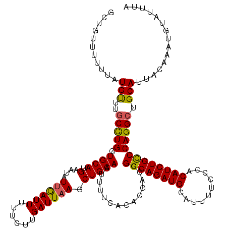 secondary structure