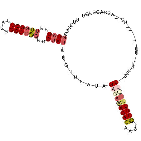 secondary structure