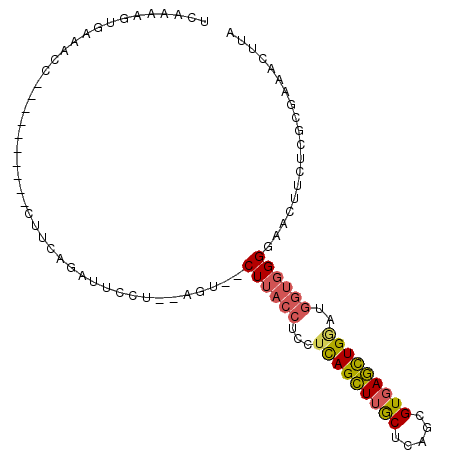 secondary structure