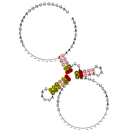 secondary structure