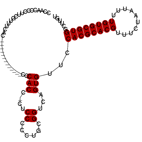 secondary structure