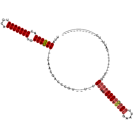 secondary structure