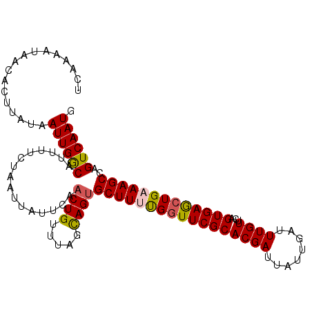 secondary structure