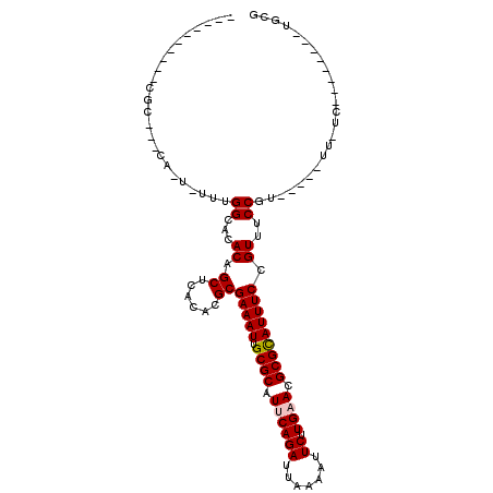 secondary structure