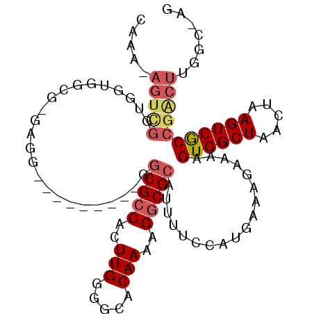 secondary structure