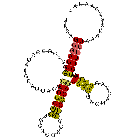 secondary structure