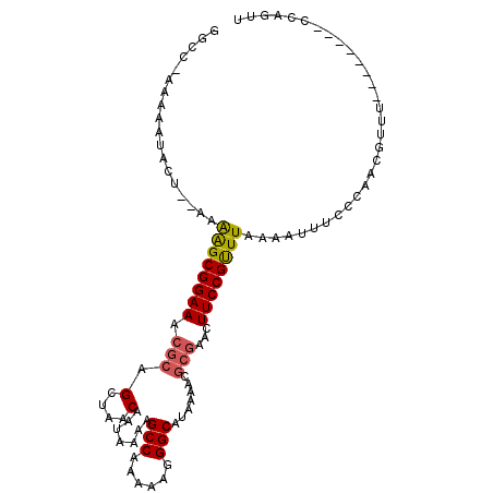 secondary structure