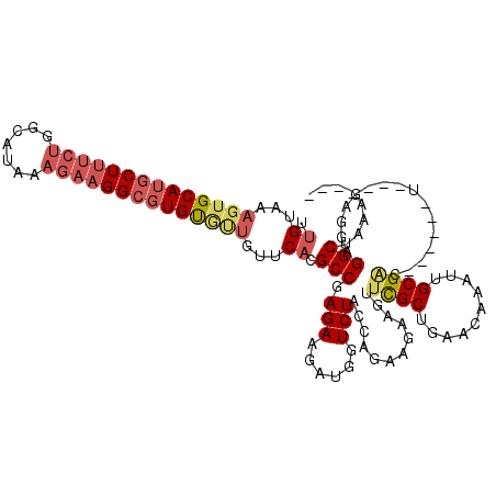 secondary structure