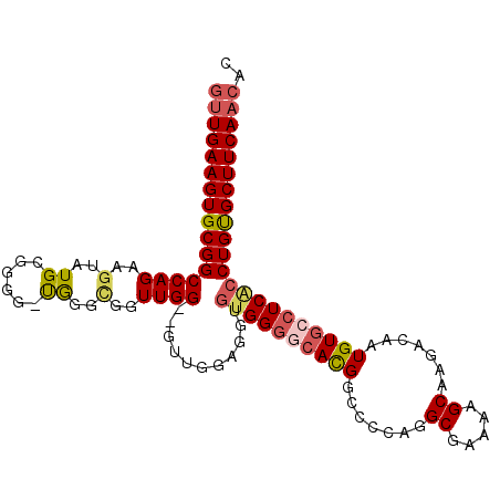 secondary structure