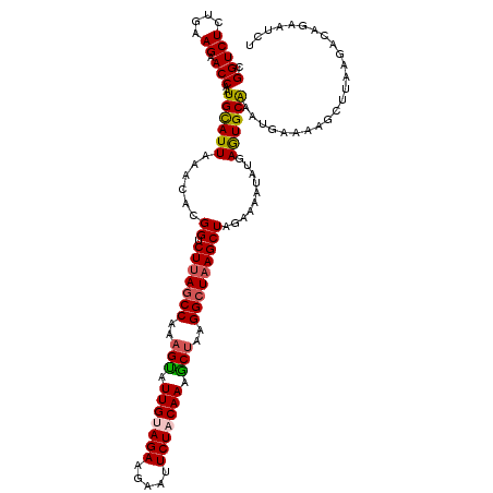 secondary structure