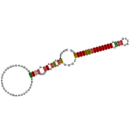 secondary structure