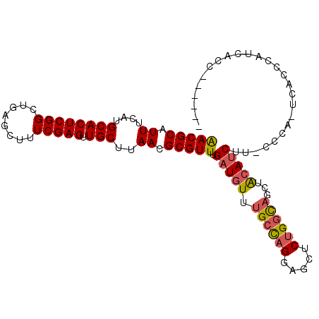 secondary structure