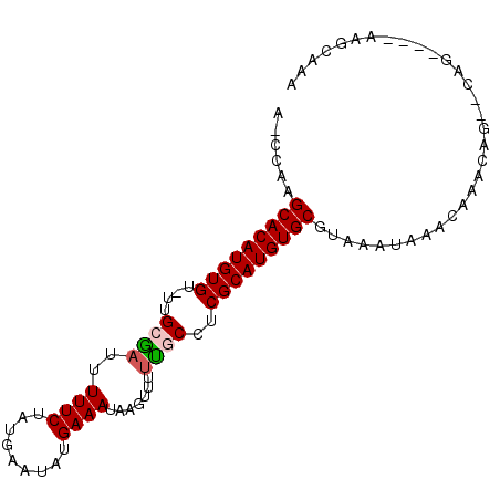 secondary structure