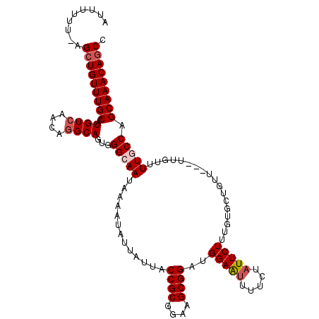 secondary structure