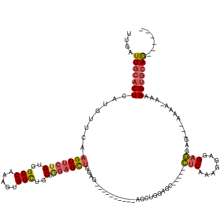 secondary structure