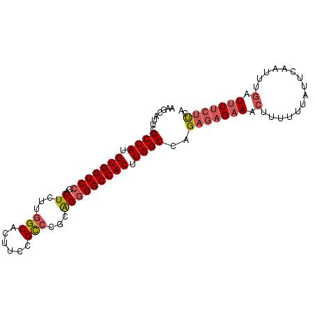 secondary structure