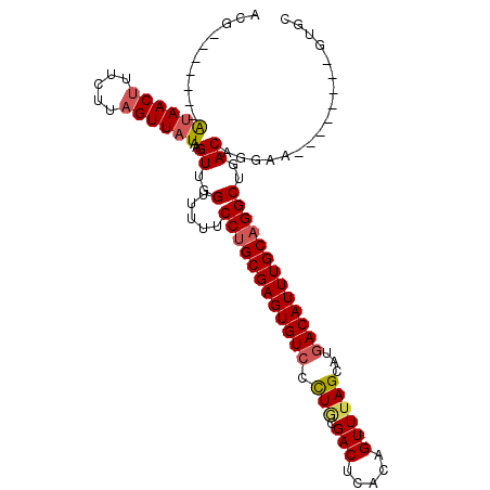 secondary structure