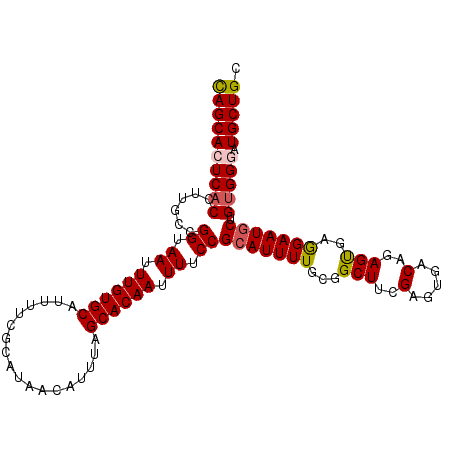secondary structure