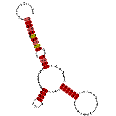 secondary structure