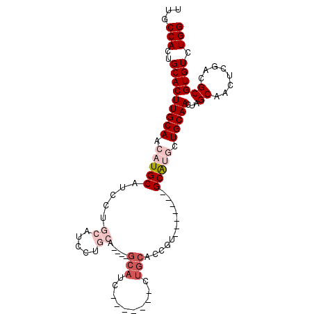 secondary structure