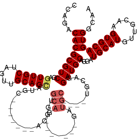 secondary structure