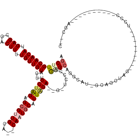 secondary structure