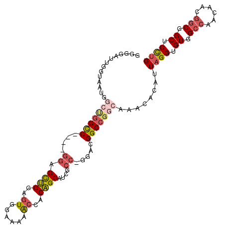 secondary structure